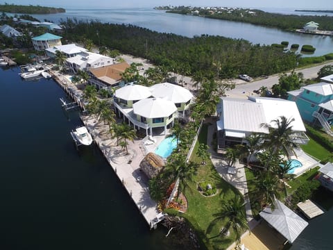 Aerial2