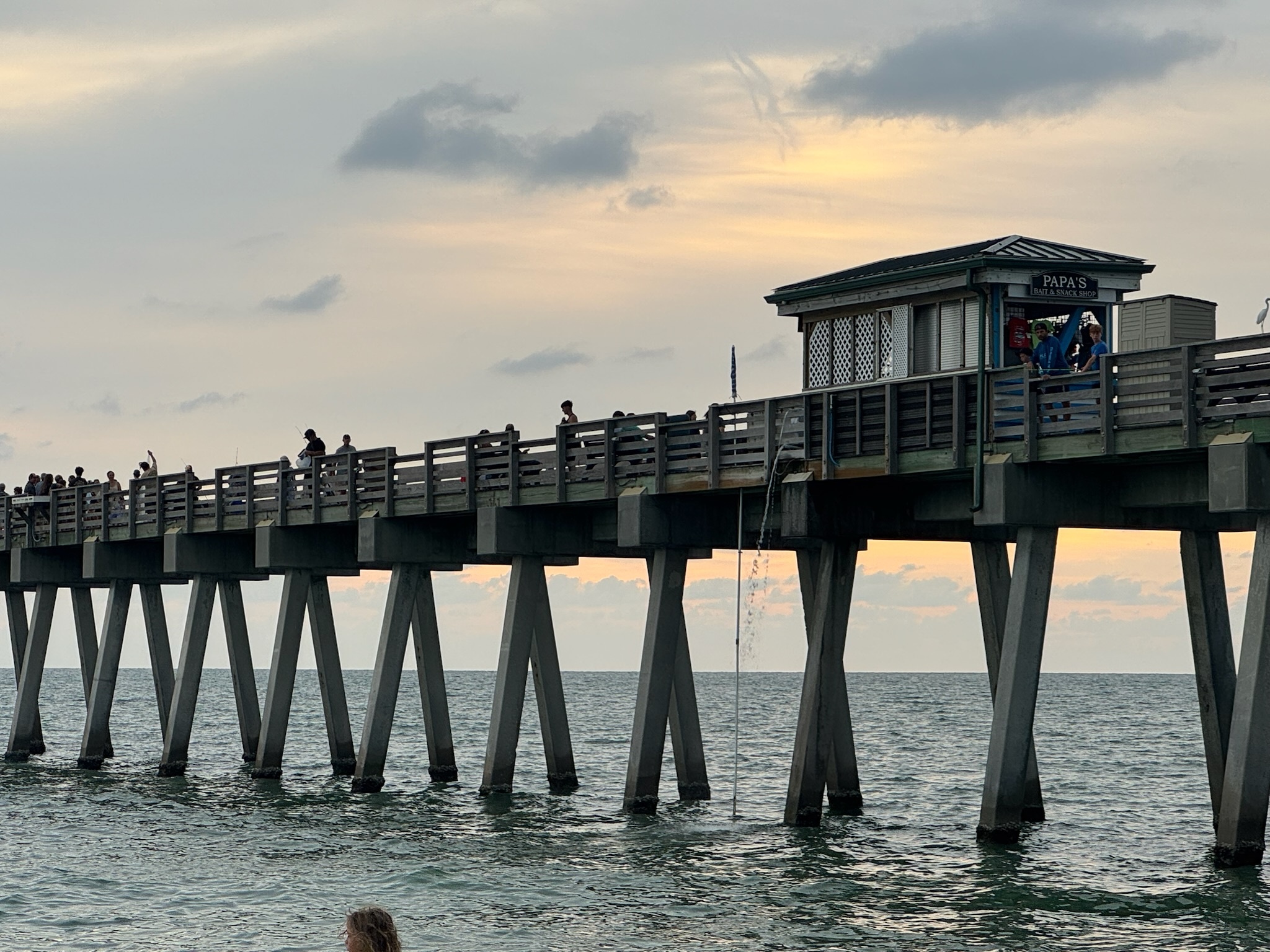 Venice Fishing Pier
