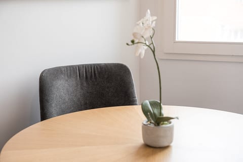 Bright minimalist dining nook with natural light and elegant orchid