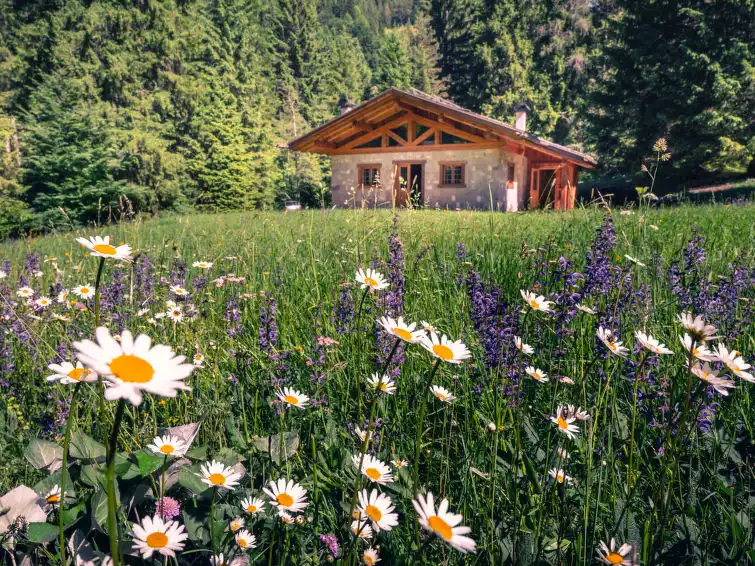 Baita Valon Alpine Hideaway - Trentino-South Tyrol