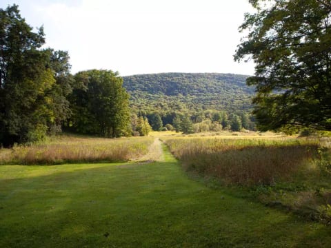 Cottage is surrounded by land under conservation restriction, with hiking trails