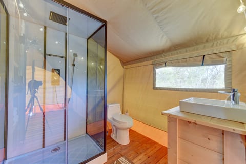 Walk-in shower and toilet