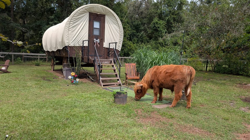 Peaceful King Bed Wagon at Highland Cows Sanctuary - Melrose