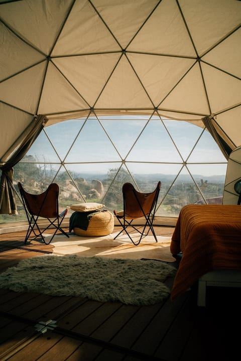 Views from a Comfy Setting