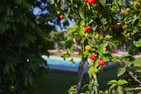 Casale della Pergola, eco-friendly, pool