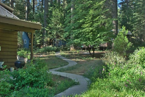 Nestled in the trees, the Little Pine cabin feels surprisingly private