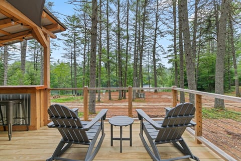 Charming A-Frame Cabin | Cold Plunge Tub | Hot Tub