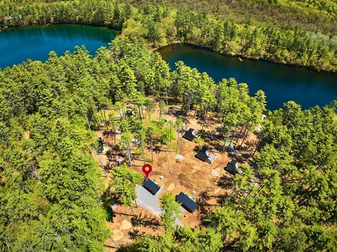 Secluded Modern Cabin Surrounded by Trees