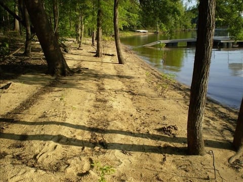 THE BLUESTONE COVE RETREAT on Kerr Lake:Gentle Slope/Sandy Cove, Game-Ready Yard