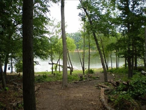 THE BLUESTONE COVE RETREAT on Kerr Lake:Gentle Slope/Sandy Cove, Game-Ready Yard