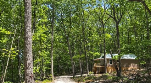 Coyote Cabin