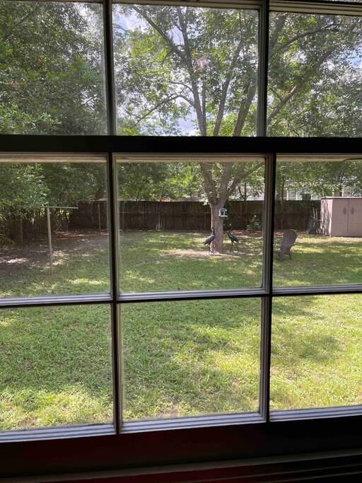 View out the window over the desk. Relaxing view of the bird feeder. It has a camera so during your stay if you’d like to see those birds up close I can share the view with you. - Private Access - Elegant Suite for Two - Jacksonville