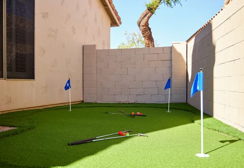 New Putting Green w/Putters and Balls