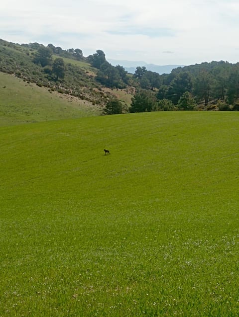 Chambre dans un Cortijo à la Sierra de Granada