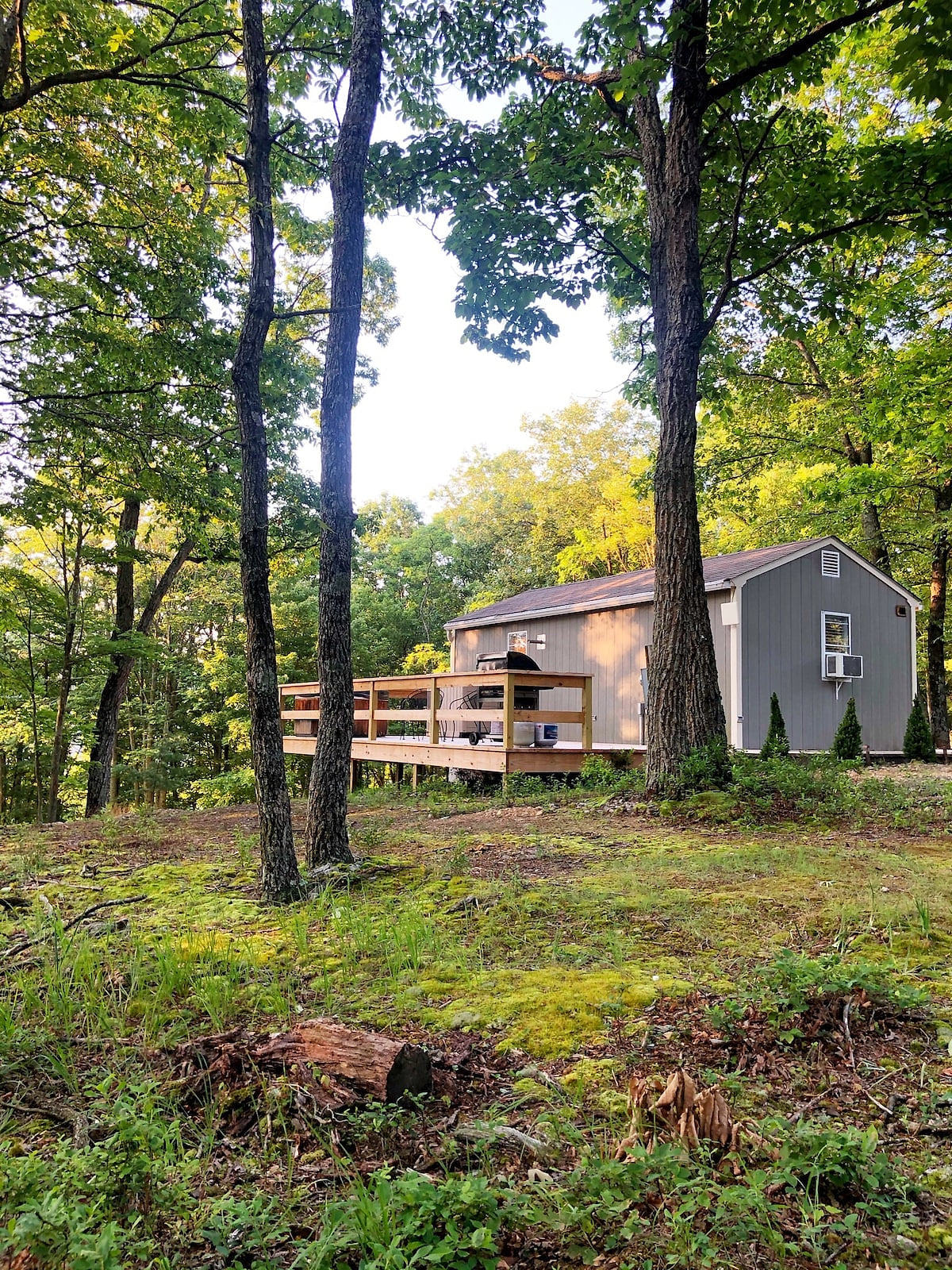 Lost River Tiny House, dog-friendly + hot tub image 1