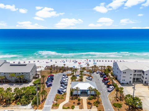 This is the actual beach.