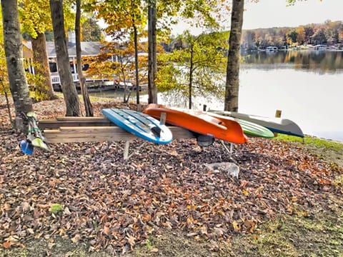 Kayaks and paddle boards for your use