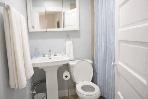 Beautiful 1 Bdrm • Historical • Downtown