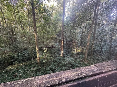 40, 308 Vantage Point Lane