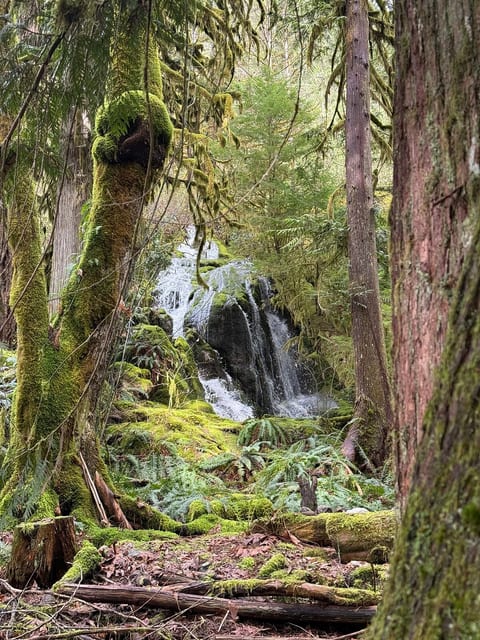 Eagles Nest - epic blufftop cabin Squamish image 4