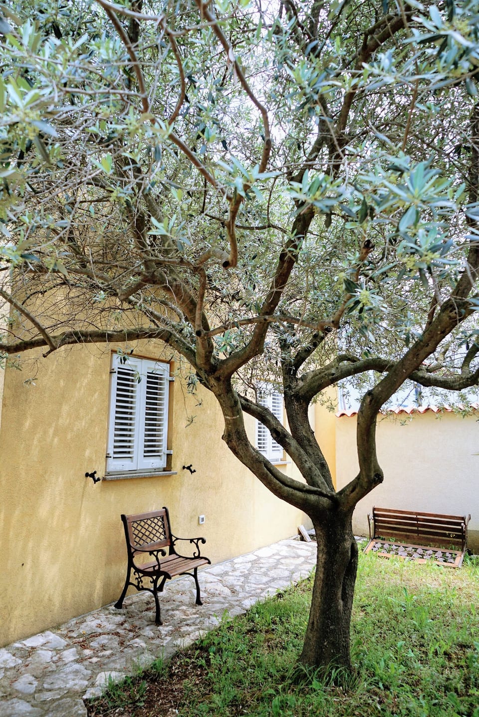 Apartments KRISTIJANA Monterosso - Unit 205133-5