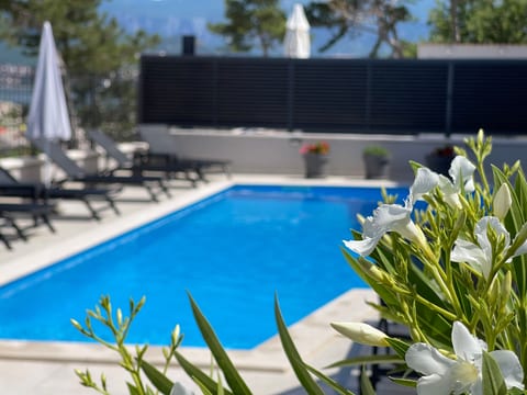 Villa Punta Silo - Luxury Apartments with Pool - Unit 375748-13