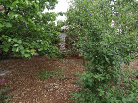 Apartments Cvita - Unit 52592-61