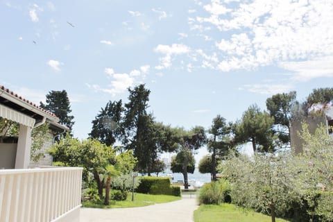 House PUNTA II - Unit 208739-5