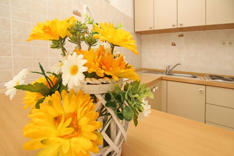 Apartments Radosna - Unit 54419-61