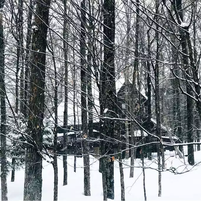 Lark Lodge - Poconos chalet near lake, pool, ski - Lake Ariel