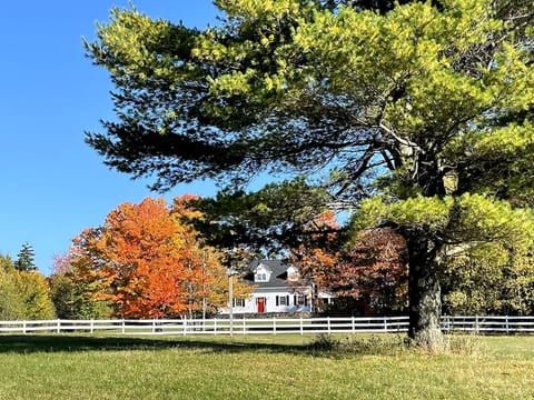 Berkshire Farm Sanctuary-A home of love & kindness image 1