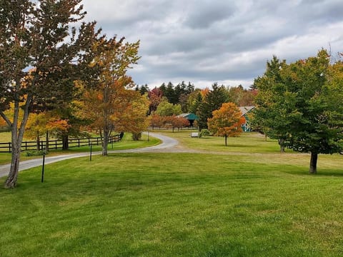 The long and winding driveway up to the house...
Aahhh, exhale...