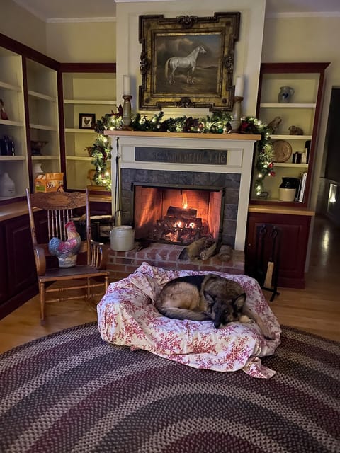 Cozy up with your loved ones in front of the fire!