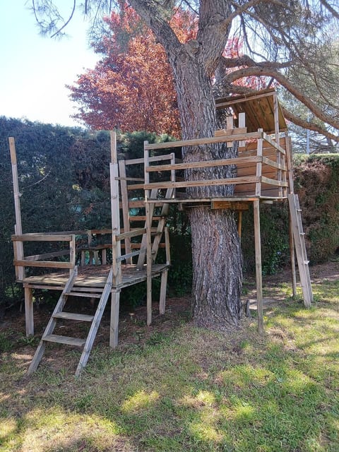 Regional Park Cuenca Alta Manzanares Chalet image 4