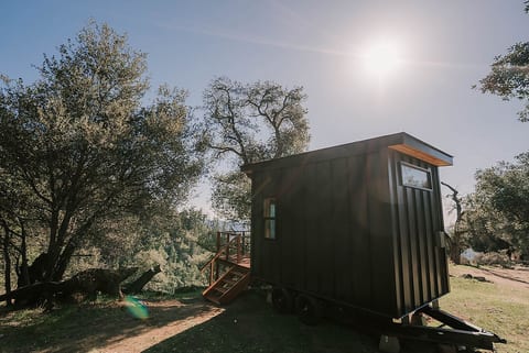 The Ridge-Top Tiny Home: Off-Grid Escape with Pacific Views