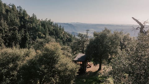 The Modern Lookout: A Minimalist Tiny House with Mountain Views