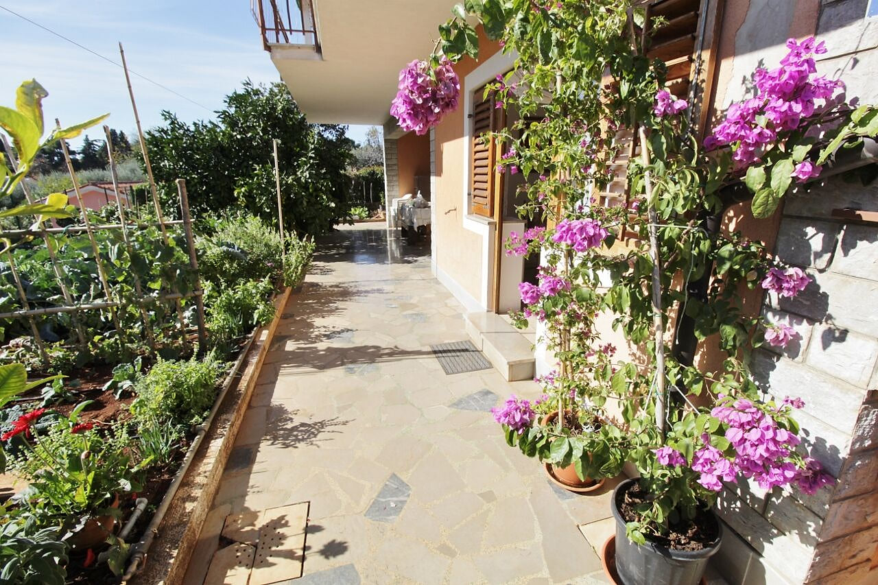 Apartments Marija Savudrija - Unit 209083-5