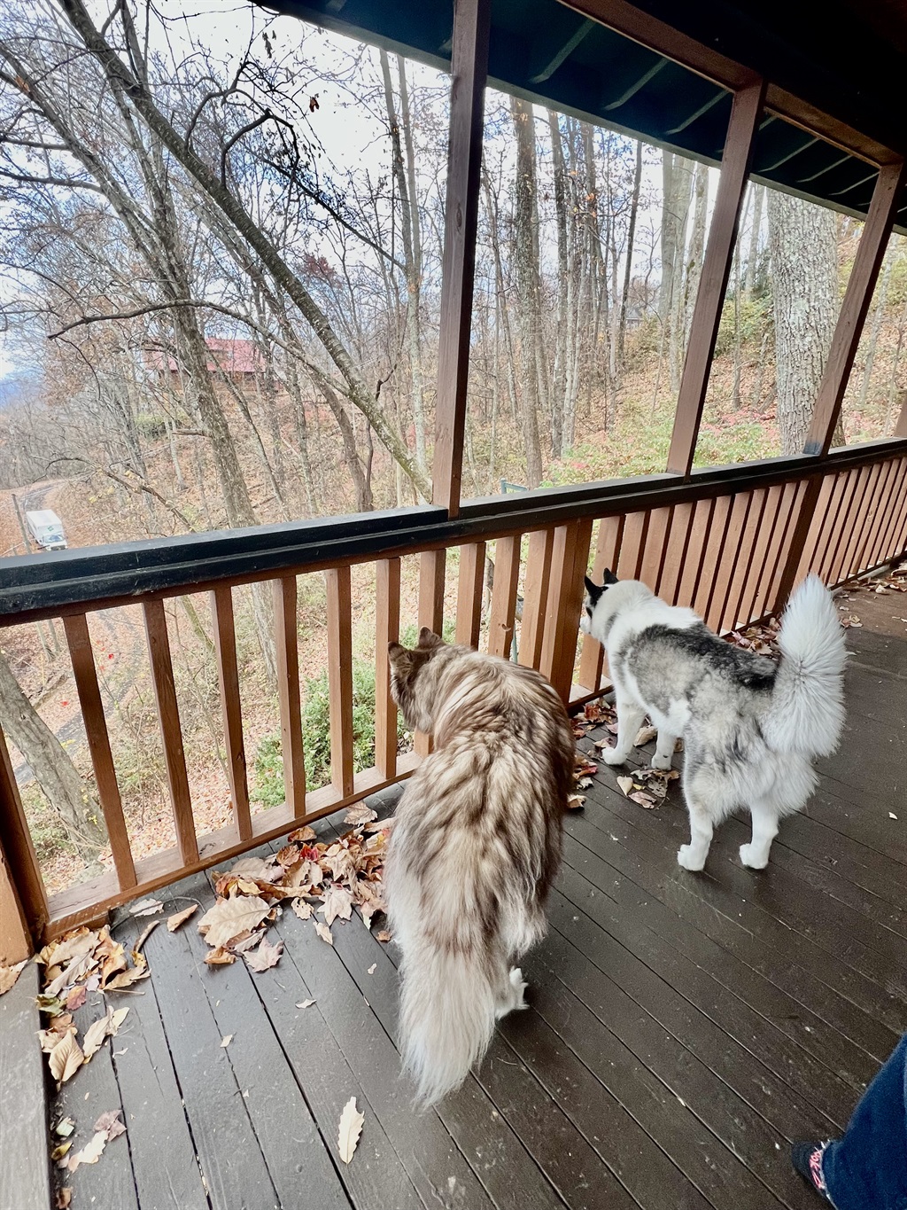 Dog Friendly - Moonshine Manor-  Friendly- W/D-Pool Table & Arcade - Gatlinburg