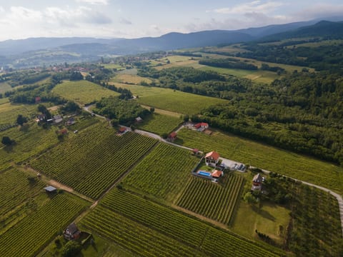 Aerial photography