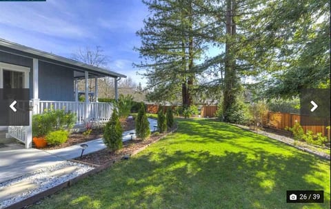Danville house with Redwood trees ! image 2