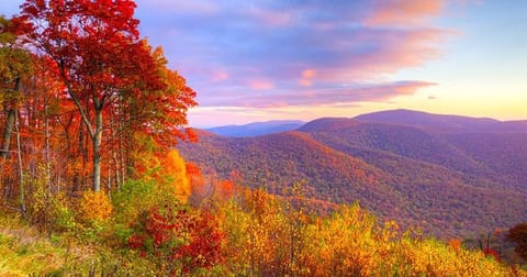 Fall in North Georgia is Beautiful. Blue Ridge Mnts