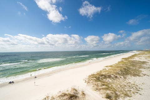 Orange Beach Beachfront Condo 3 Bedroom Sleeps 10 WD301