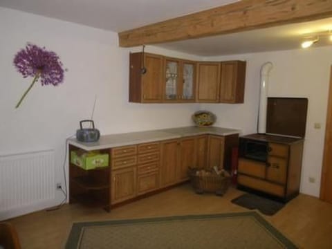 Wohnung in Haidmühle mit Garten und Grill