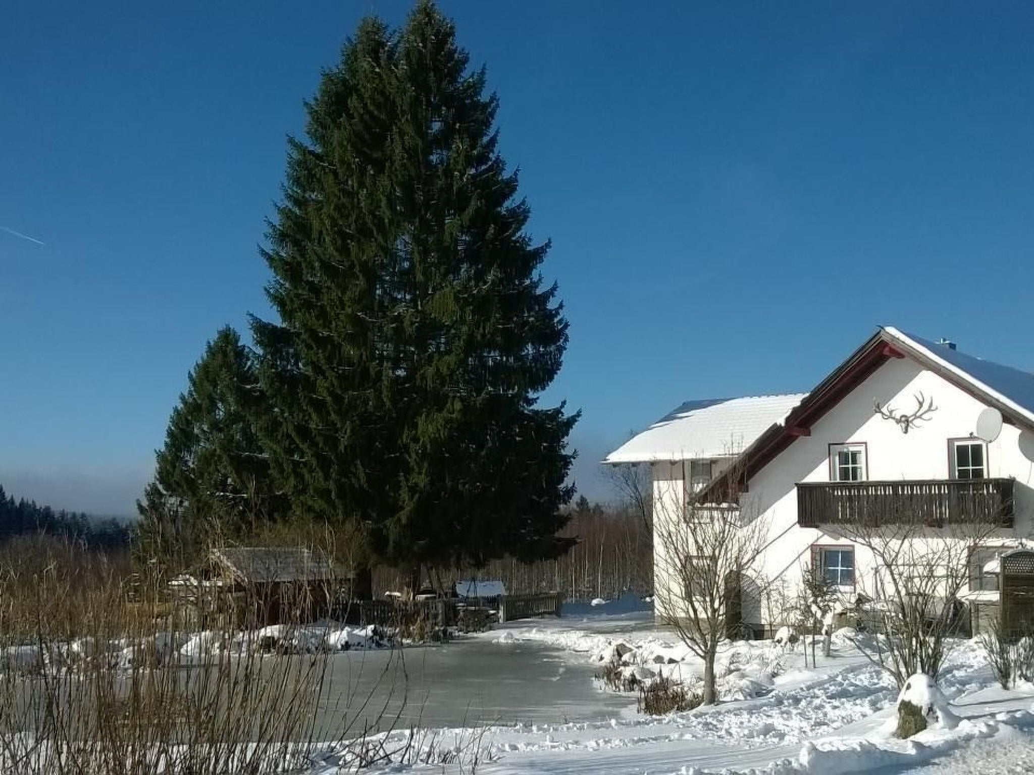 Wohnung in Haidmühle mit Terrasse und Garten