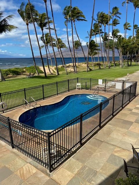 Oceanfront pool at Hale Kai O Kihei, with swaying palms, lush lawn and the Pacific Ocean just beyond.