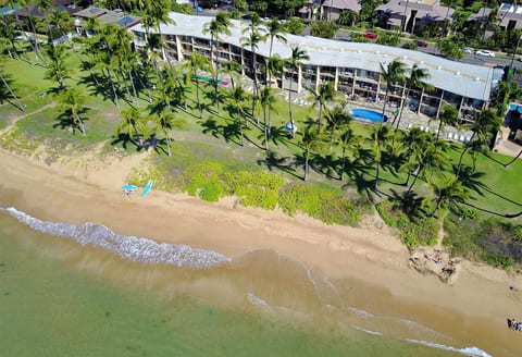 “Aerial view of Hale Kai O Kihei — an oceanfront property with a palm-lined lawn and the beach just steps away.”