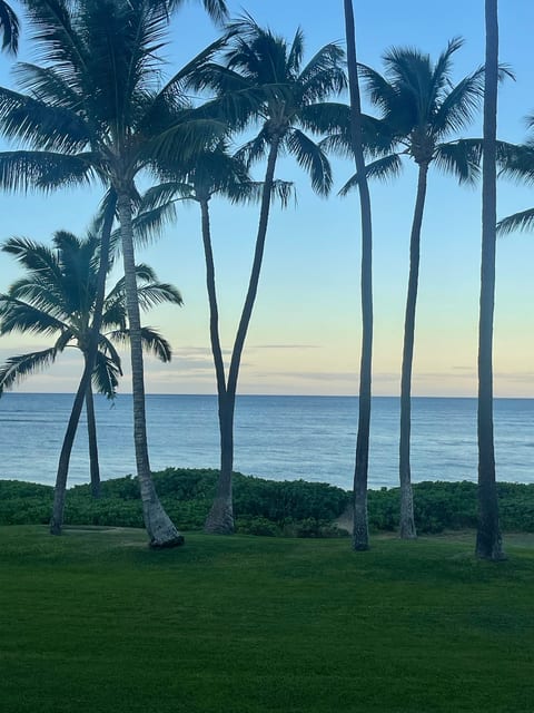 “Just steps to the beach — follow the little path from the oceanfront lawn straight to the sand.”