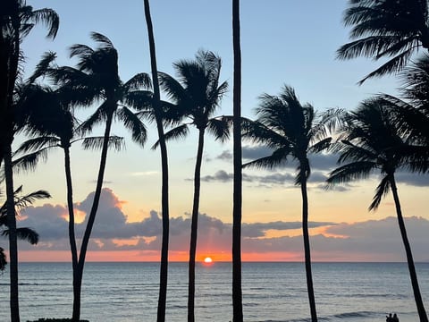"Spectacular South Kihei sunsets just steps from the beach"