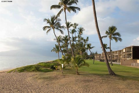 Beachfront living at Hale Kai O Kihei — the oceanfront lawn meets the sandy shoreline right here in South Kihei.