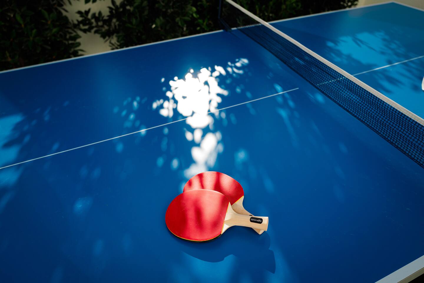 Designer 4BR Desert Oasis with Mountain Views